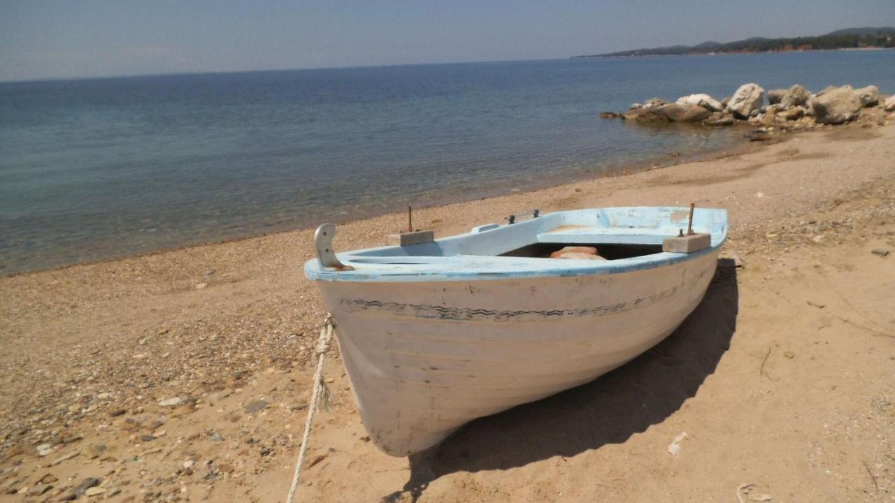 Finikas Garden Beach Resort Nikiti Buitenkant foto